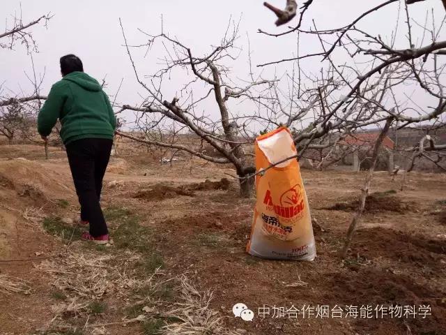 大量元素水溶肥